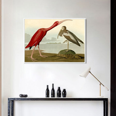 INVIN ART Framed Canvas Giclee Print Scarlet Ibis by John James Audubon Wall Art Living Room Home Office Decorations