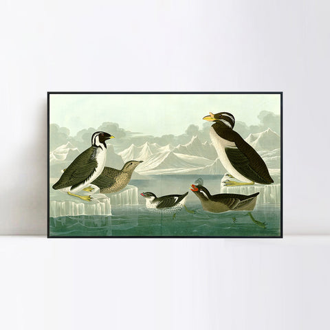 INVIN ART Framed Canvas Giclee Print Death in the Sickroom,1893 by John James Audubon Wall Art Living Room Home Office Decorations