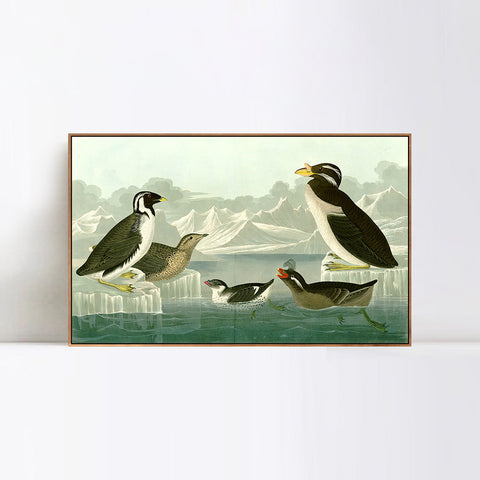 INVIN ART Framed Canvas Giclee Print Death in the Sickroom,1893 by John James Audubon Wall Art Living Room Home Office Decorations
