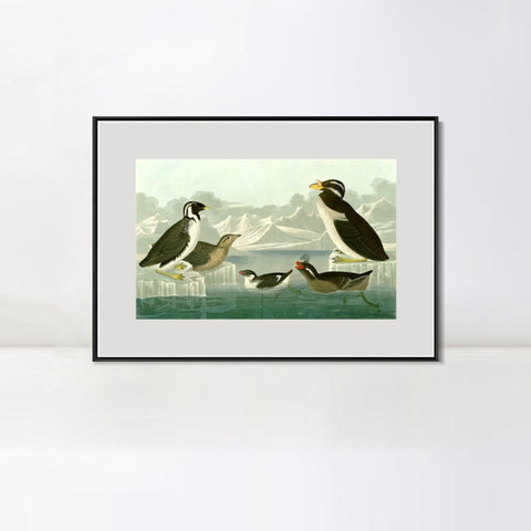 INVIN ART Metal Framed Canvas Giclee Print Death in the Sickroom,1893 by John James Audubon Wall Art Living Room Home Office Decorations