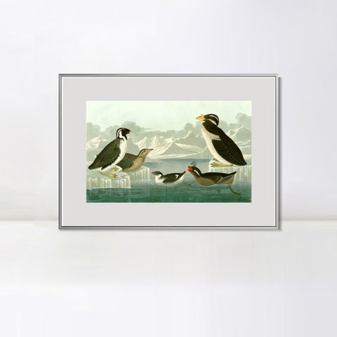 INVIN ART Metal Framed Canvas Giclee Print Death in the Sickroom,1893 by John James Audubon Wall Art Living Room Home Office Decorations