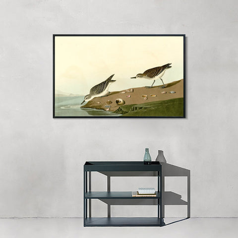 INVIN ART Framed Canvas Giclee Print Series#111 by John James Audubon Wall Art Living Room Home Office Decorations