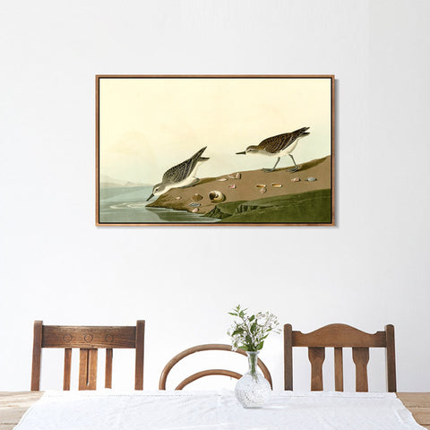 INVIN ART Framed Canvas Giclee Print Series#111 by John James Audubon Wall Art Living Room Home Office Decorations