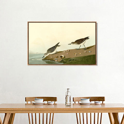 INVIN ART Framed Canvas Giclee Print Series#111 by John James Audubon Wall Art Living Room Home Office Decorations