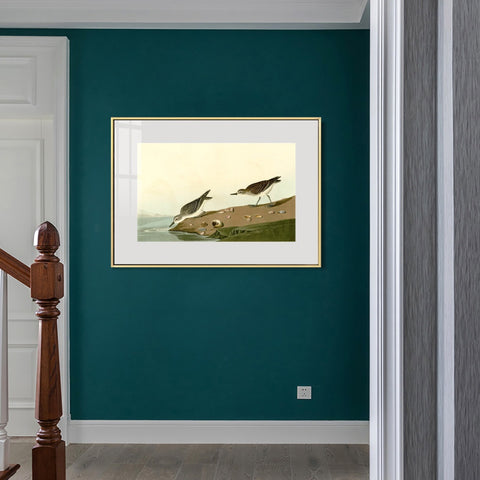 INVIN ART Metal Framed Canvas Giclee Print Series#111 by John James Audubon Wall Art Living Room Home Office Decorations