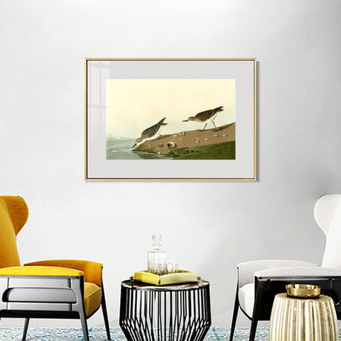 INVIN ART Metal Framed Canvas Giclee Print Series#111 by John James Audubon Wall Art Living Room Home Office Decorations