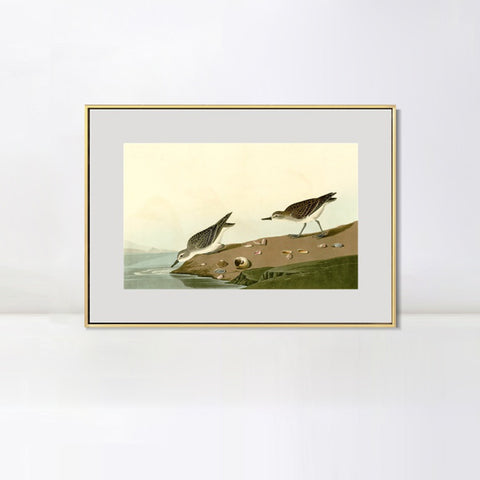 INVIN ART Metal Framed Canvas Giclee Print Series#111 by John James Audubon Wall Art Living Room Home Office Decorations
