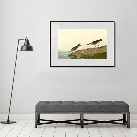 INVIN ART Metal Framed Canvas Giclee Print Series#111 by John James Audubon Wall Art Living Room Home Office Decorations