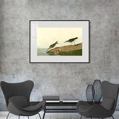 INVIN ART Metal Framed Canvas Giclee Print Series#111 by John James Audubon Wall Art Living Room Home Office Decorations