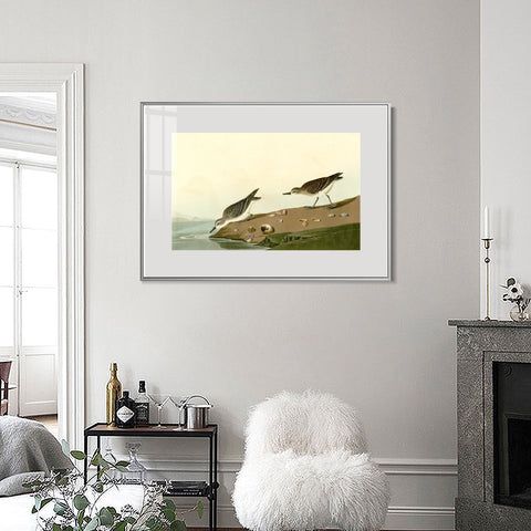 INVIN ART Metal Framed Canvas Giclee Print Series#111 by John James Audubon Wall Art Living Room Home Office Decorations