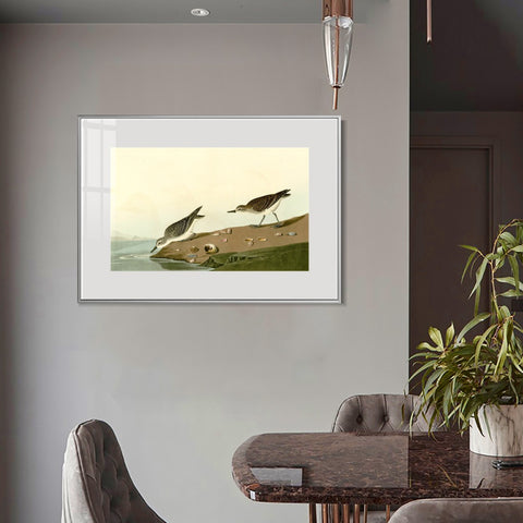 INVIN ART Metal Framed Canvas Giclee Print Series#111 by John James Audubon Wall Art Living Room Home Office Decorations