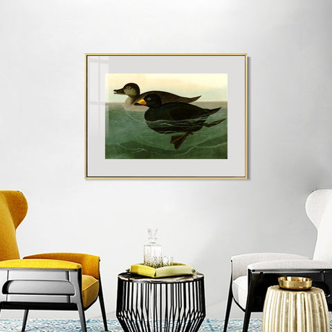 INVIN ART Metal Framed Canvas Giclee Print American Scoter Duck by John James Audubon Wall Art Living Room Home Office Decorations