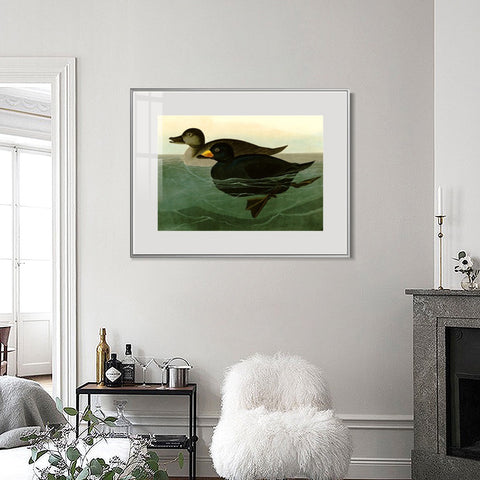 INVIN ART Metal Framed Canvas Giclee Print American Scoter Duck by John James Audubon Wall Art Living Room Home Office Decorations