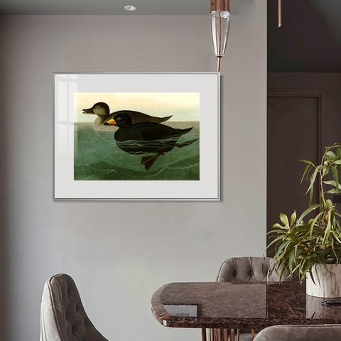 INVIN ART Metal Framed Canvas Giclee Print American Scoter Duck by John James Audubon Wall Art Living Room Home Office Decorations