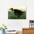 INVIN ART Framed Canvas Giclee Print American Scoter Duck by John James Audubon Wall Art Living Room Home Office Decorations