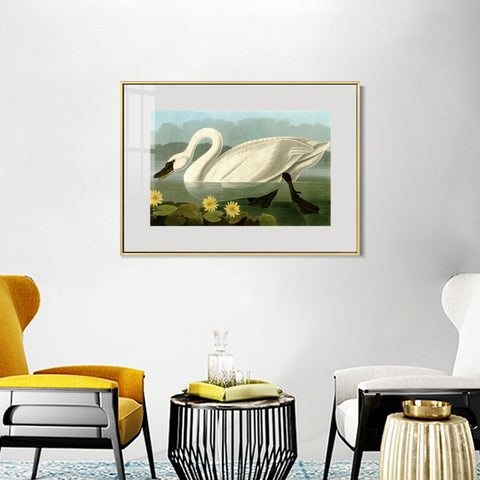 INVIN ART Metal Framed Canvas Giclee Print Common American Swan by John James Audubon Wall Art Living Room Home Office Decorations