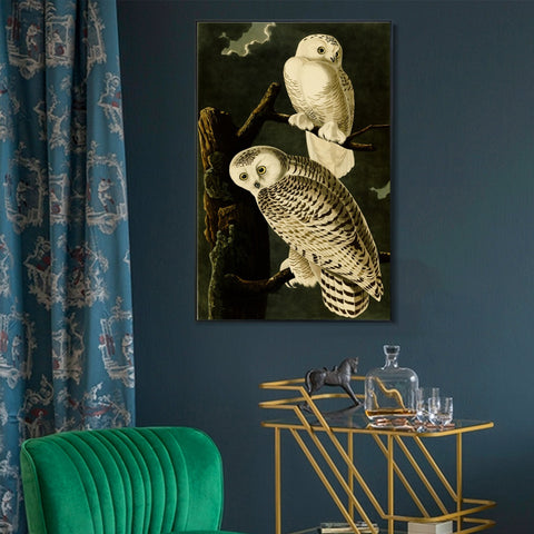 INVIN ART Framed Canvas Giclee Print Snowy Owl by John James Audubon Wall Art Living Room Home Office Decorations