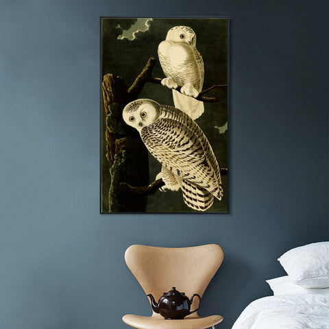 INVIN ART Framed Canvas Giclee Print Snowy Owl by John James Audubon Wall Art Living Room Home Office Decorations