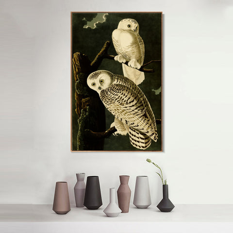 INVIN ART Framed Canvas Giclee Print Snowy Owl by John James Audubon Wall Art Living Room Home Office Decorations