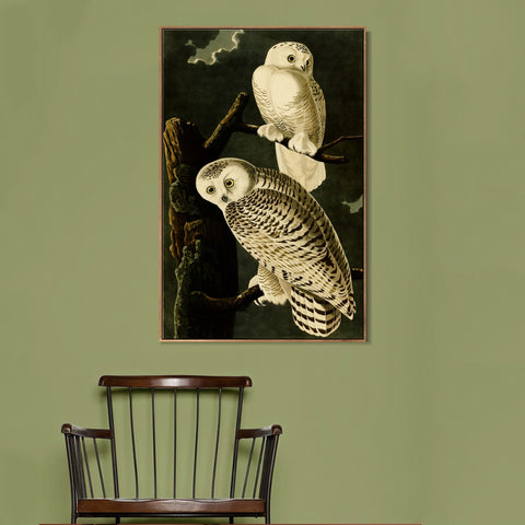 INVIN ART Framed Canvas Giclee Print Snowy Owl by John James Audubon Wall Art Living Room Home Office Decorations