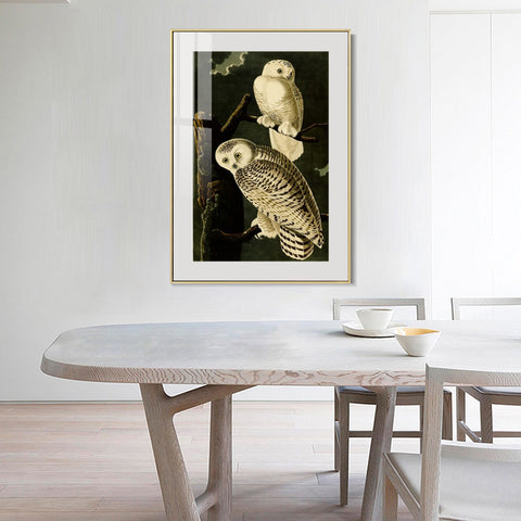 INVIN ART Metal Framed Canvas Giclee Print Snowy Owl by John James Audubon Wall Art Living Room Home Office Decorations
