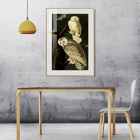 INVIN ART Metal Framed Canvas Giclee Print Snowy Owl by John James Audubon Wall Art Living Room Home Office Decorations