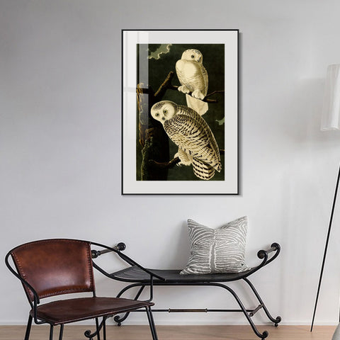 INVIN ART Metal Framed Canvas Giclee Print Snowy Owl by John James Audubon Wall Art Living Room Home Office Decorations