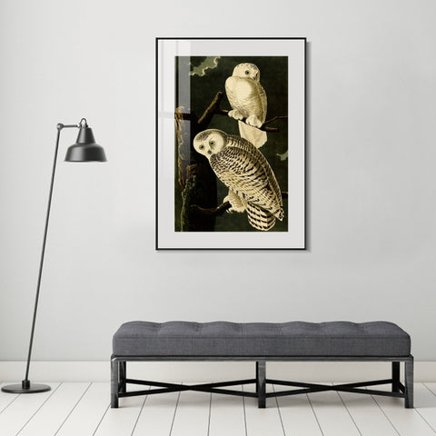 INVIN ART Metal Framed Canvas Giclee Print Snowy Owl by John James Audubon Wall Art Living Room Home Office Decorations