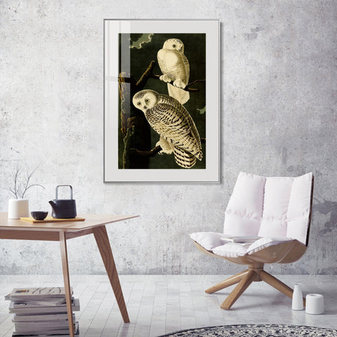 INVIN ART Metal Framed Canvas Giclee Print Snowy Owl by John James Audubon Wall Art Living Room Home Office Decorations