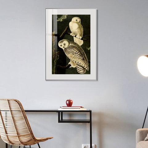 INVIN ART Metal Framed Canvas Giclee Print Snowy Owl by John James Audubon Wall Art Living Room Home Office Decorations