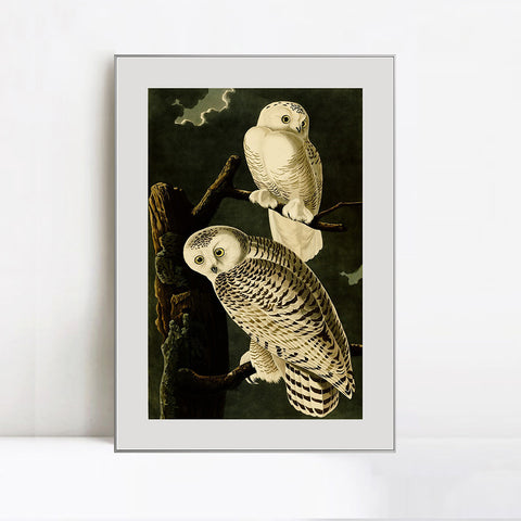 INVIN ART Metal Framed Canvas Giclee Print Snowy Owl by John James Audubon Wall Art Living Room Home Office Decorations