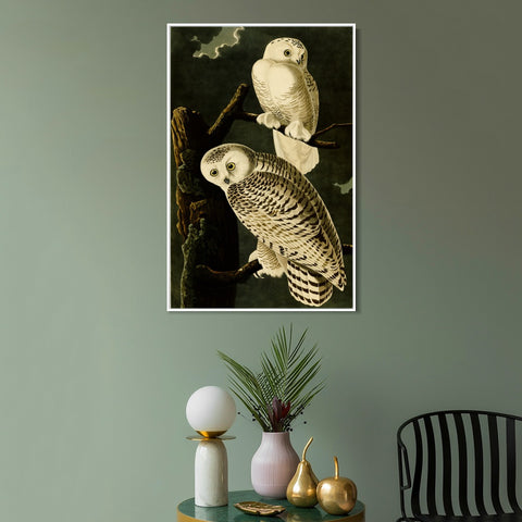 INVIN ART Framed Canvas Giclee Print Snowy Owl by John James Audubon Wall Art Living Room Home Office Decorations