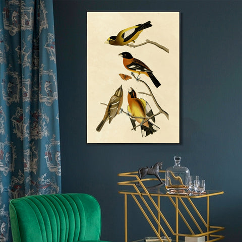 INVIN ART Framed Canvas Giclee Print Series#115 by John James Audubon Wall Art Living Room Home Office Decorations
