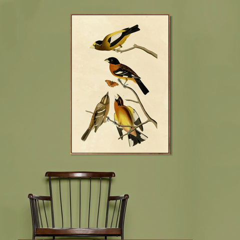 INVIN ART Framed Canvas Giclee Print Series#115 by John James Audubon Wall Art Living Room Home Office Decorations