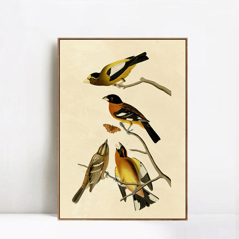 INVIN ART Framed Canvas Giclee Print Series#115 by John James Audubon Wall Art Living Room Home Office Decorations