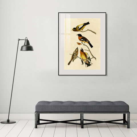 INVIN ART Metal Framed Canvas Giclee Print Series#115 by John James Audubon Wall Art Living Room Home Office Decorations