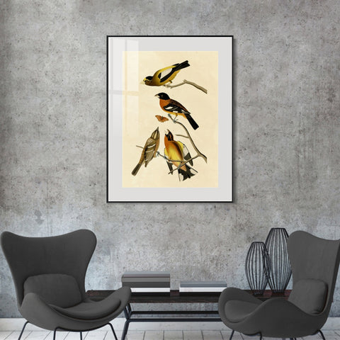 INVIN ART Metal Framed Canvas Giclee Print Series#115 by John James Audubon Wall Art Living Room Home Office Decorations
