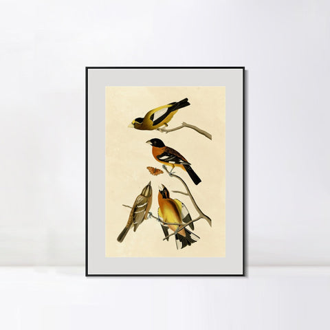 INVIN ART Metal Framed Canvas Giclee Print Series#115 by John James Audubon Wall Art Living Room Home Office Decorations