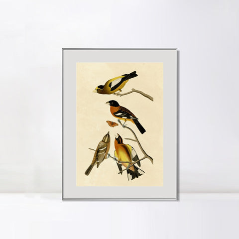 INVIN ART Metal Framed Canvas Giclee Print Series#115 by John James Audubon Wall Art Living Room Home Office Decorations