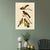 INVIN ART Framed Canvas Giclee Print Series#115 by John James Audubon Wall Art Living Room Home Office Decorations