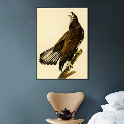 INVIN ART Framed Canvas Giclee Print White headed Eagle by John James Audubon Wall Art Living Room Home Office Decorations