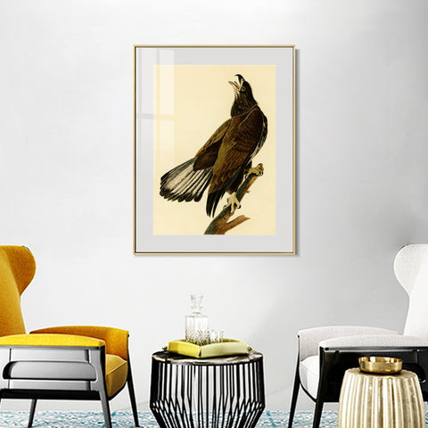 INVIN ART Metal Framed Canvas Giclee Print White headed Eagle by John James Audubon Wall Art Living Room Home Office Decorations
