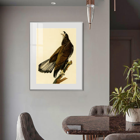 INVIN ART Metal Framed Canvas Giclee Print White headed Eagle by John James Audubon Wall Art Living Room Home Office Decorations