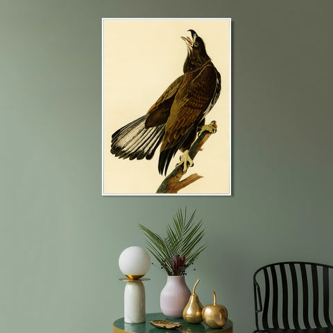 INVIN ART Framed Canvas Giclee Print White headed Eagle by John James Audubon Wall Art Living Room Home Office Decorations