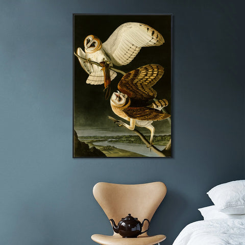 INVIN ART Framed Canvas Giclee Print Barn Owl by John James Audubon Wall Art Living Room Home Office Decorations