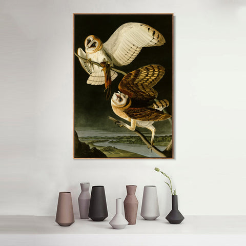 INVIN ART Framed Canvas Giclee Print Barn Owl by John James Audubon Wall Art Living Room Home Office Decorations