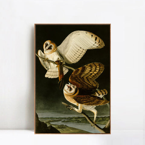INVIN ART Framed Canvas Giclee Print Barn Owl by John James Audubon Wall Art Living Room Home Office Decorations