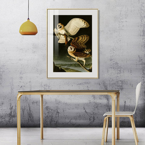 INVIN ART Metal Framed Canvas Giclee Print Barn Owl by John James Audubon Wall Art Living Room Home Office Decorations