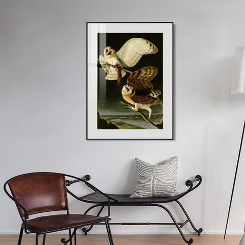 INVIN ART Metal Framed Canvas Giclee Print Barn Owl by John James Audubon Wall Art Living Room Home Office Decorations