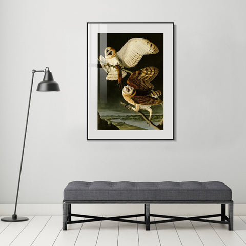 INVIN ART Metal Framed Canvas Giclee Print Barn Owl by John James Audubon Wall Art Living Room Home Office Decorations